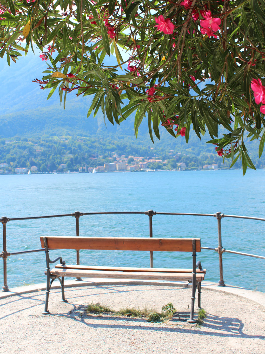 Ca' Del Lasco - Lake Como Apartments